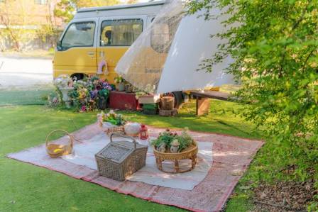 7 Joys and Benefits of Picnicking