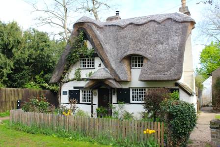 Exploring Innovative Roof Designs: A Comprehensive Guide