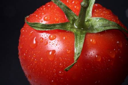 6 Key Health Benefits of Tomatoes