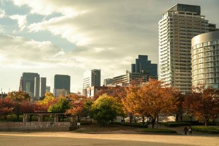 Best Places to See Amazing Fall Color