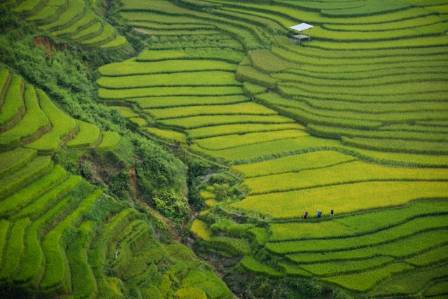 5 of the Greenest Places in the World