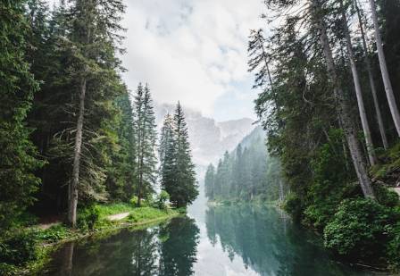 5 Vital Roles of Rivers: More Than Just Waterways