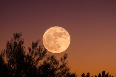 The Moon’s Influence: Myth or Reality?
