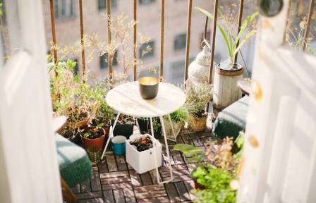 Plants for every kind of balcony