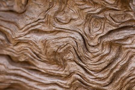 Wood Carving - A Traditional Art from Thousands of Years