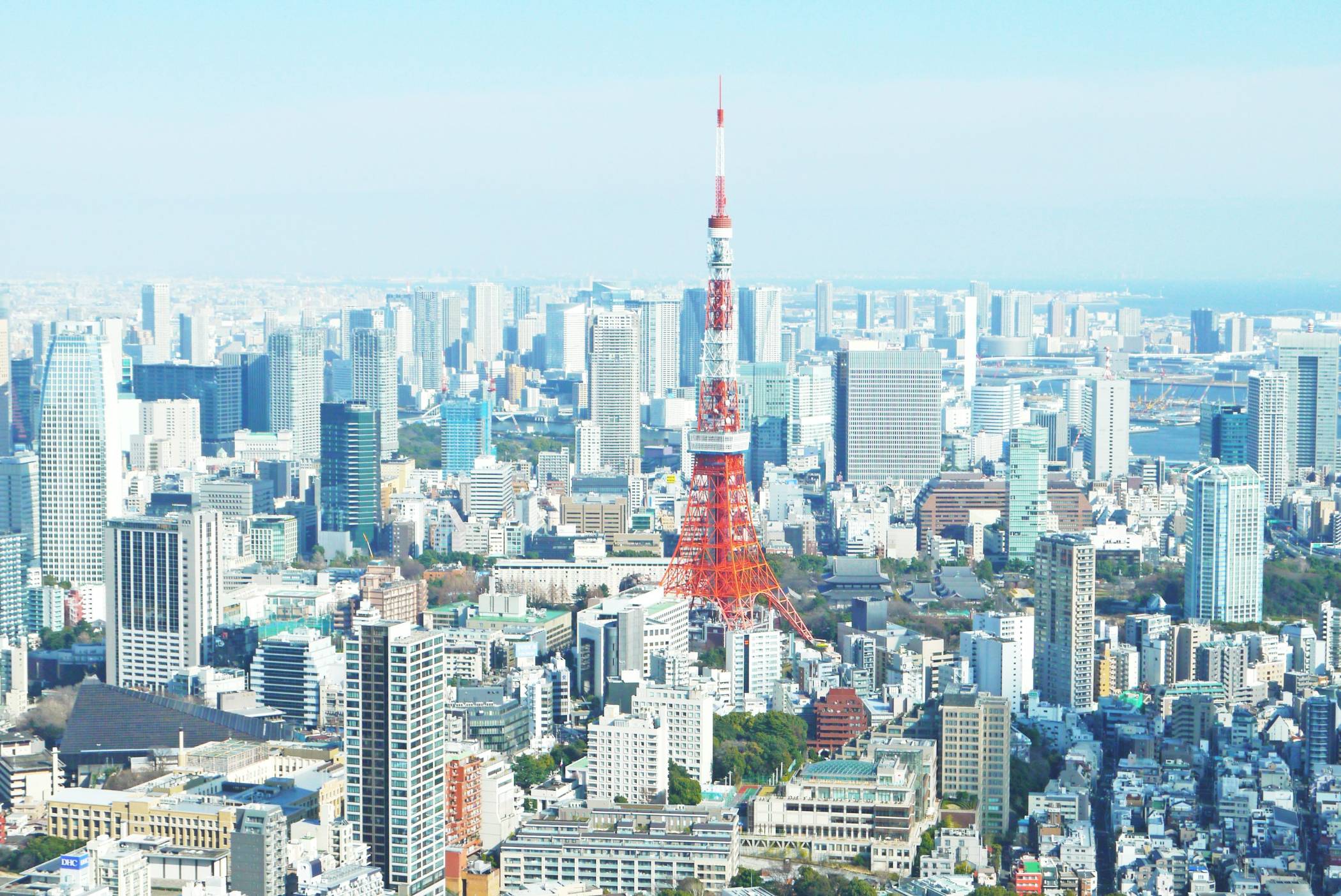 Tokyo Tower: A Nation Reborn, Standing 333 Meters Tall